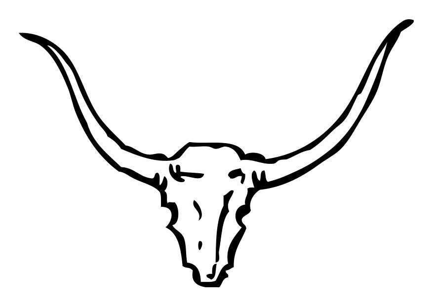 schedel stier Kleurplaat schedel stier