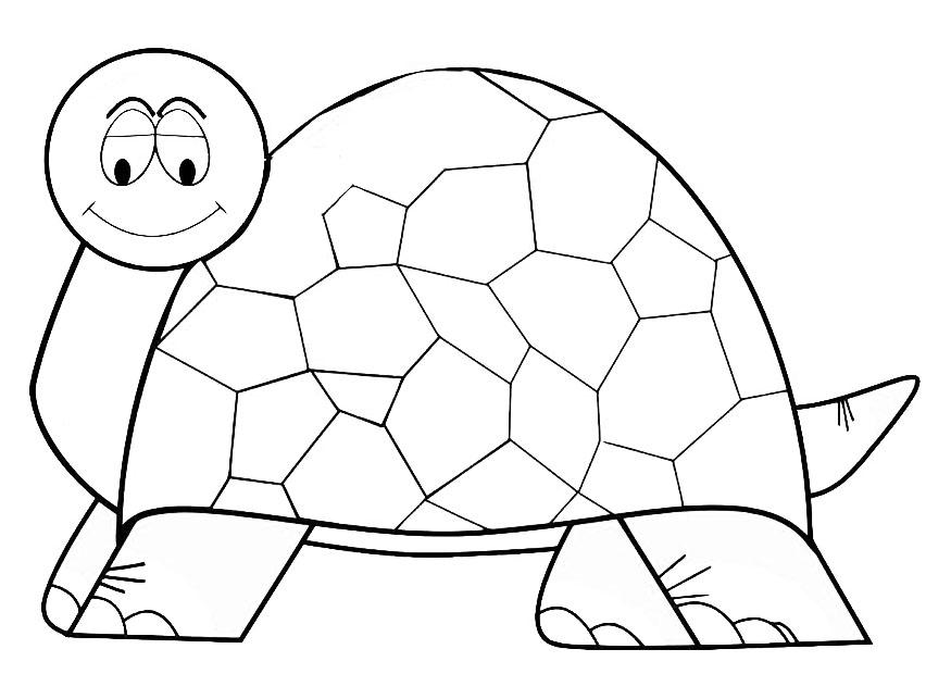 schildpad Kleurplaat schildpad