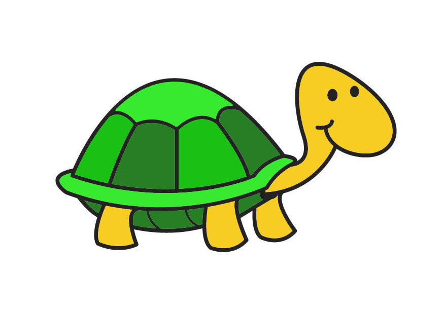 schildpad Afbeelding schildpad