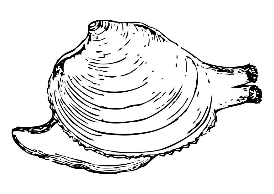 slak Kleurplaat slak