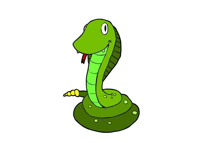 slang Afbeelding slang