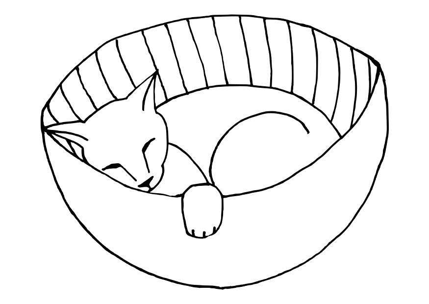 slapende poes Kleurplaat slapende poes