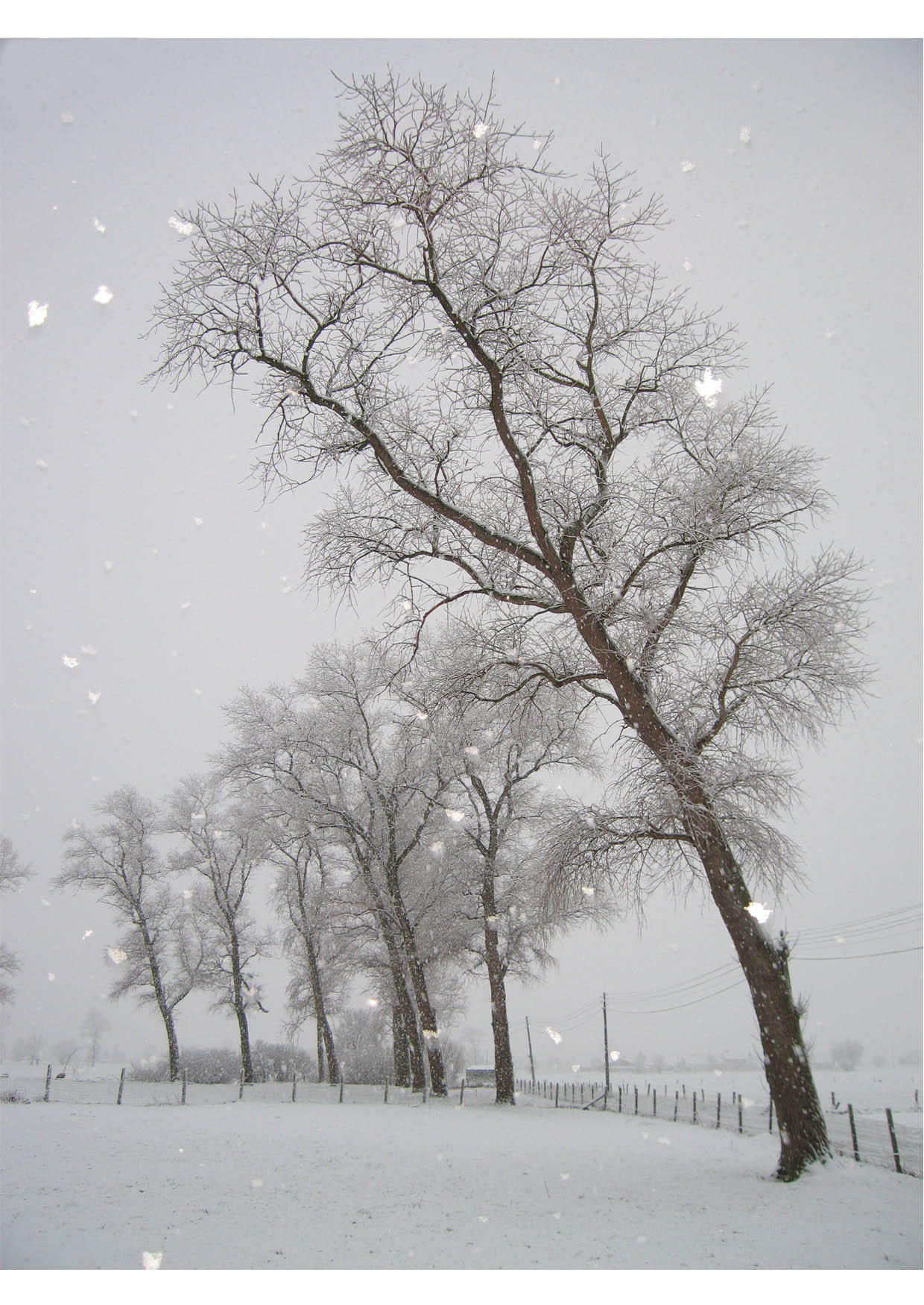 sneeuw - winterlandschap Foto sneeuw - winterlandschap