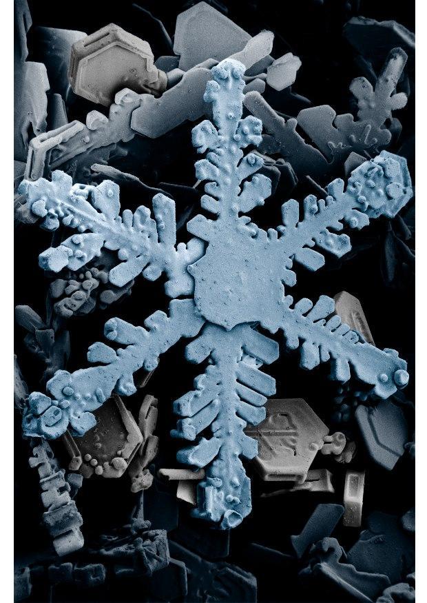 sneeuwkristallen onder een microscoop Foto sneeuwkristallen onder een microscoop