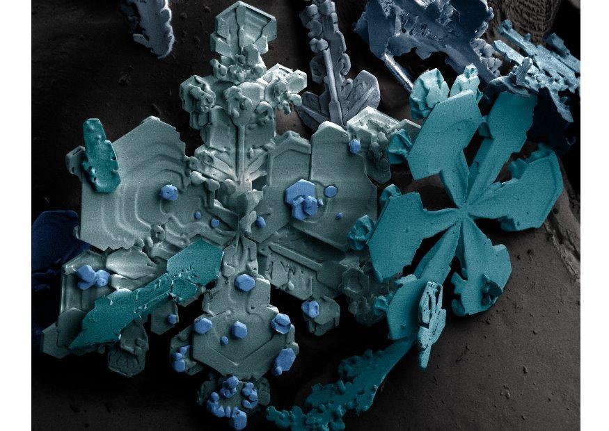 sneeuwkristallen onder microscoop Foto sneeuwkristallen onder microscoop