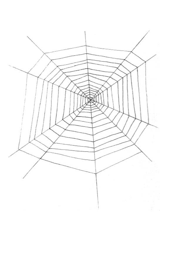 spinnenweb Kleurplaat spinnenweb