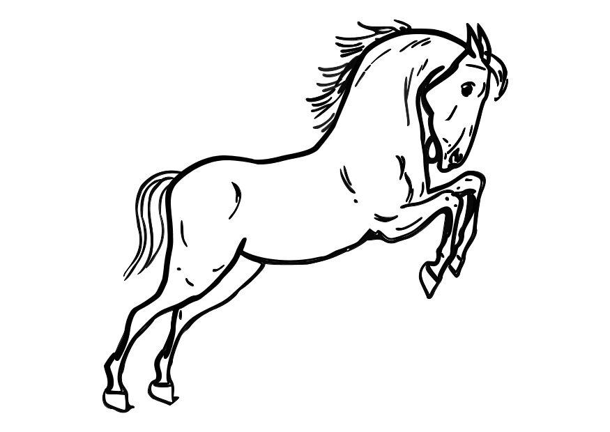 springend paard Kleurplaat springend paard