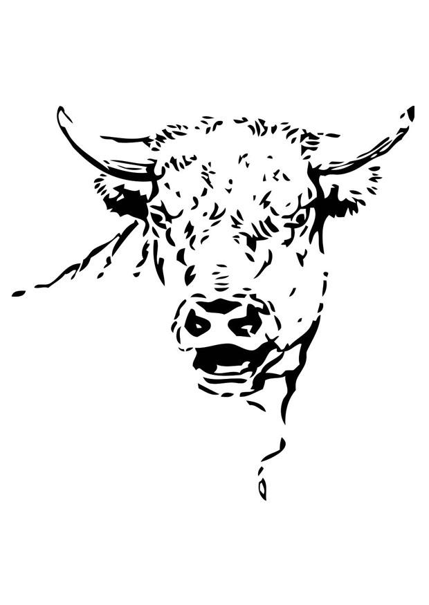 stier Kleurplaat stier