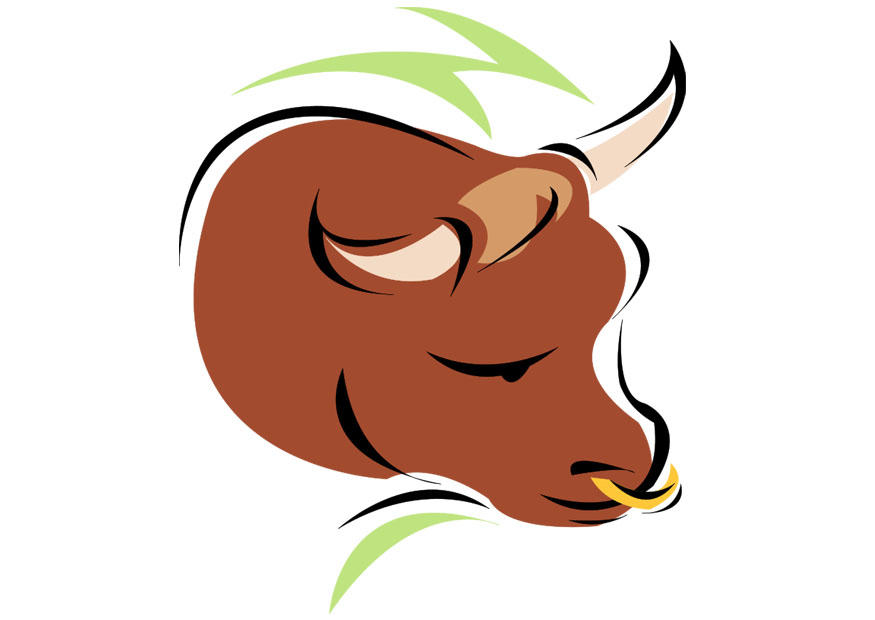 stier Afbeelding stier