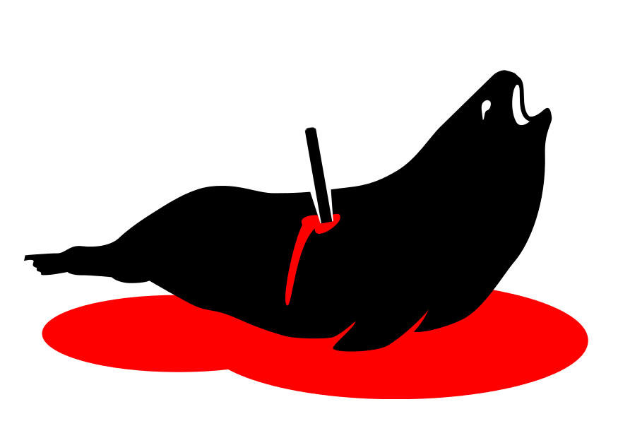stop zeehondenjacht Afbeelding stop zeehondenjacht