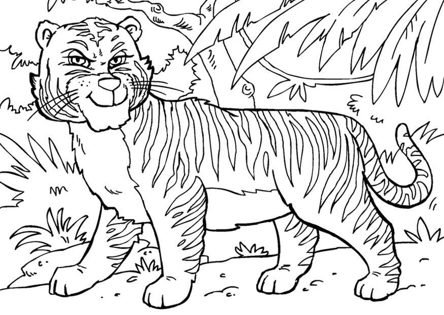 tijger Kleurplaat tijger