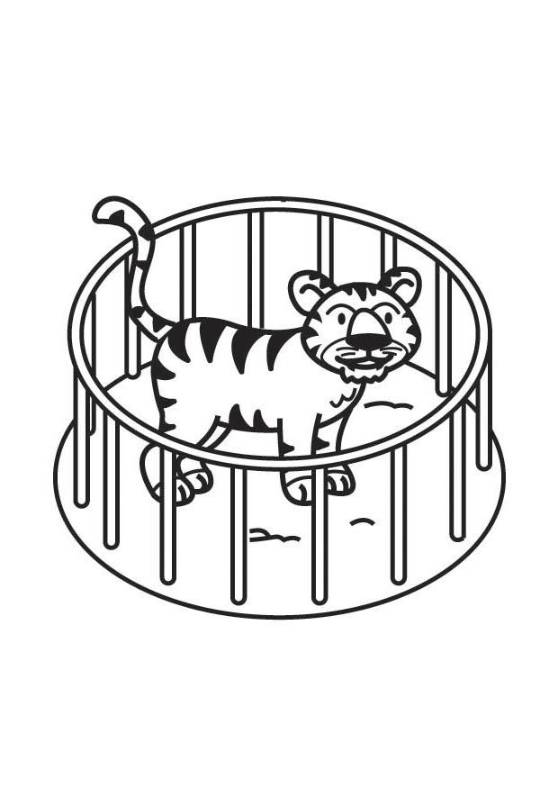 tijger in kooi Kleurplaat tijger in kooi