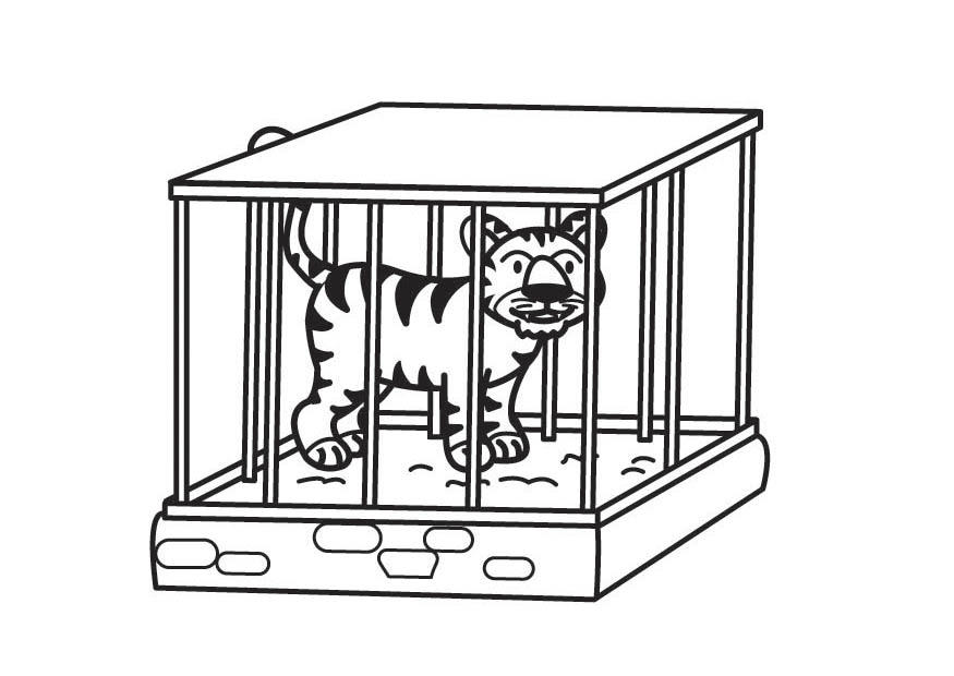 tijger in kooi Kleurplaat tijger in kooi