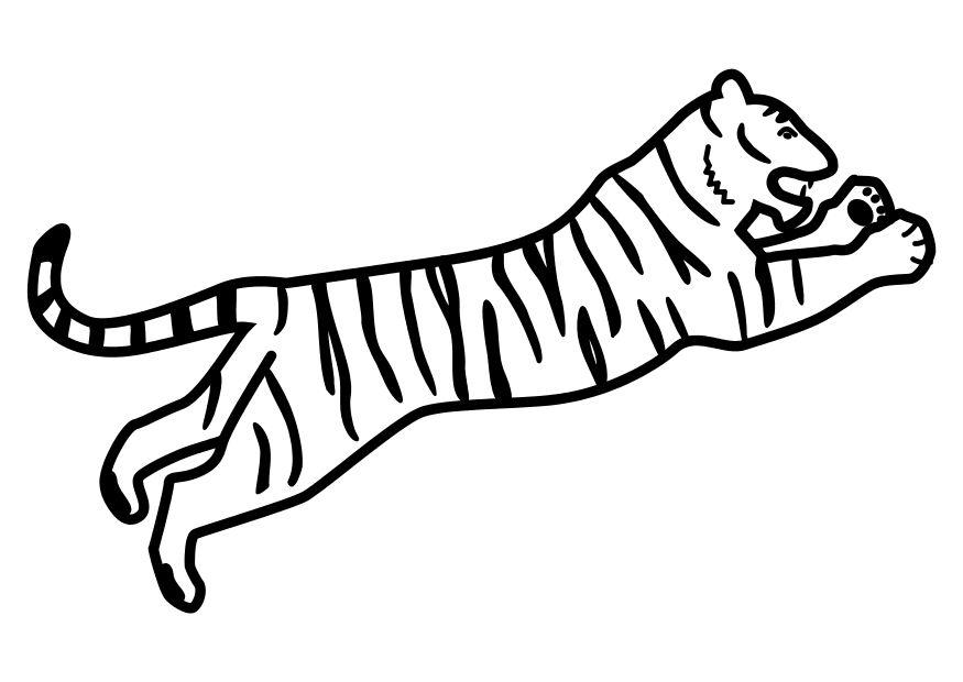 tijger springt Kleurplaat tijger springt