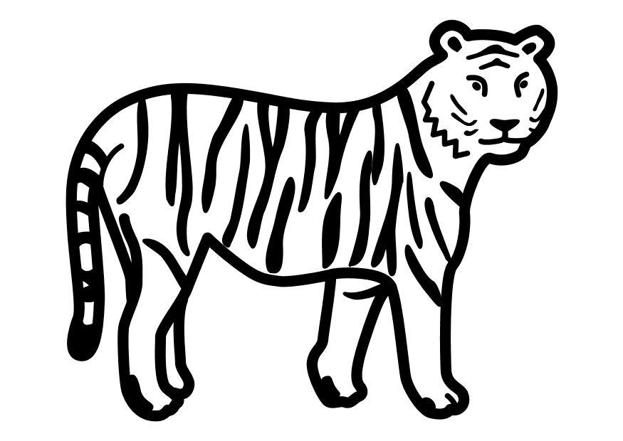 tijger staat Kleurplaat tijger staat