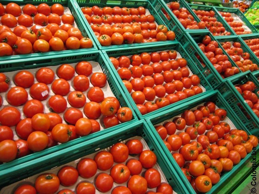 tomaten Foto tomaten