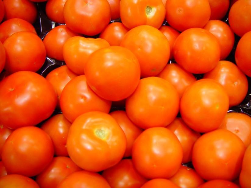 tomaten Foto tomaten