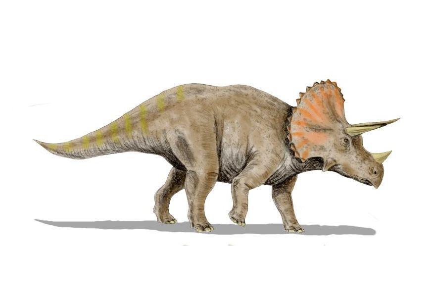 triceratops Afbeelding triceratops