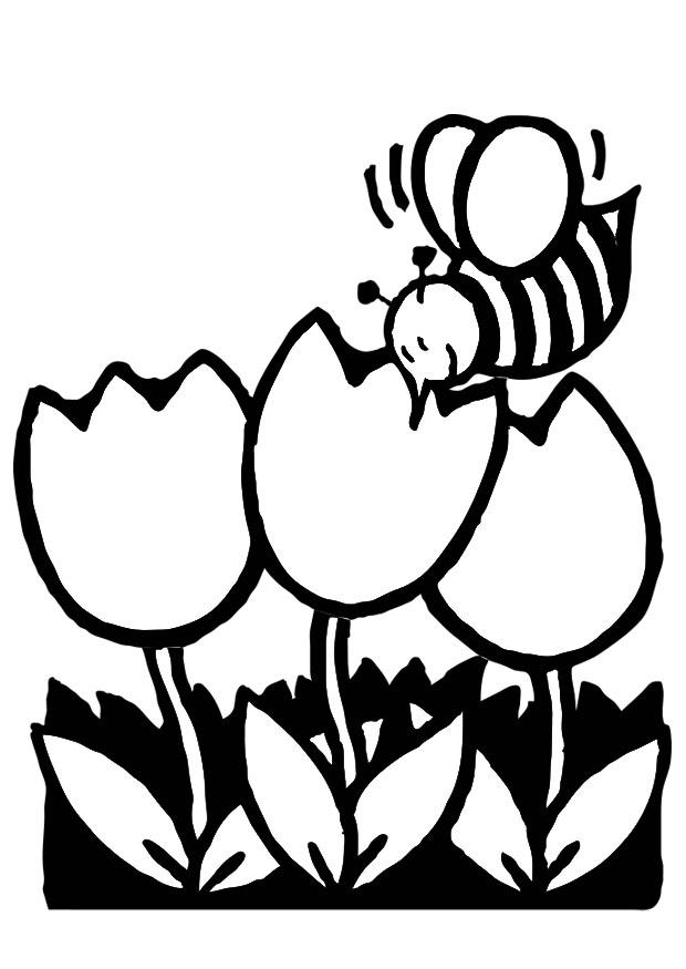tulpen met bij Kleurplaat tulpen met bij