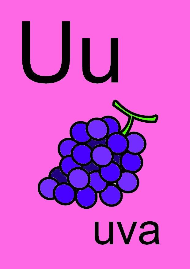 u Afbeelding u