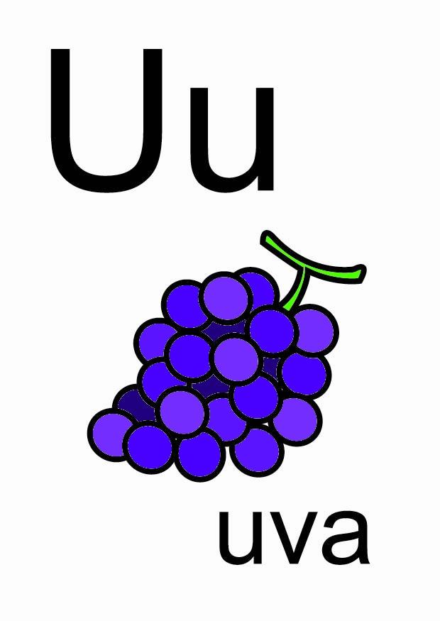u Afbeelding u