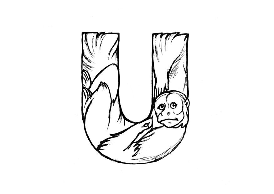 u-uakari Kleurplaat u-uakari