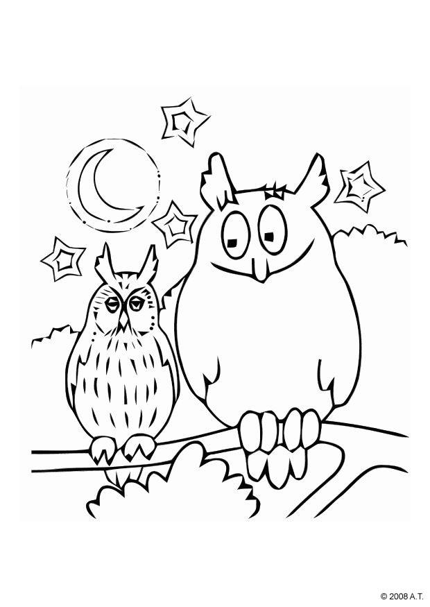 uil Kleurplaat uil