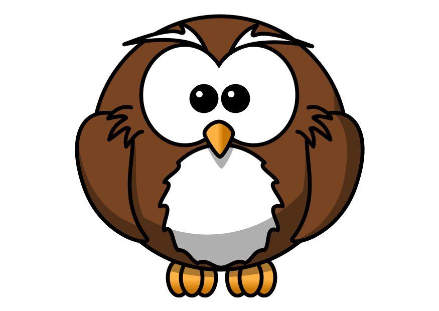 z1-uil Afbeelding z1-uil