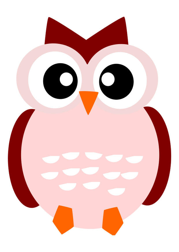uil Afbeelding uil