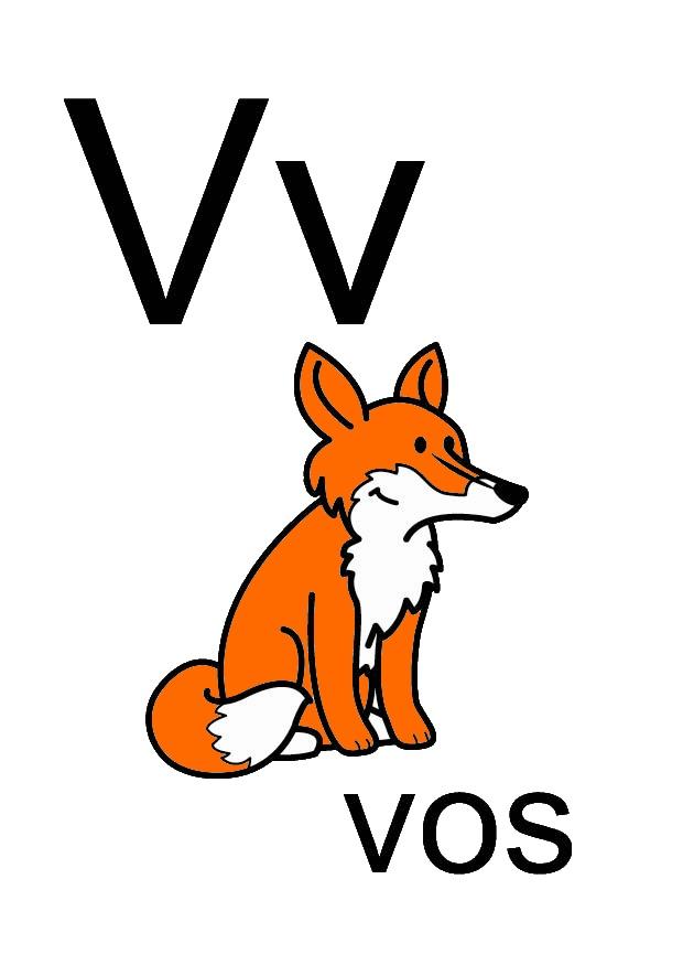v Afbeelding v
