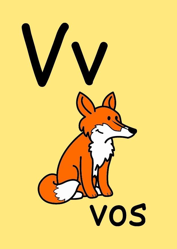 v Afbeelding v
