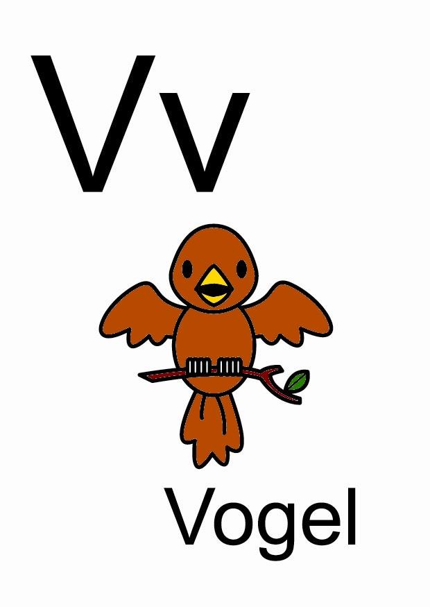 v Afbeelding v