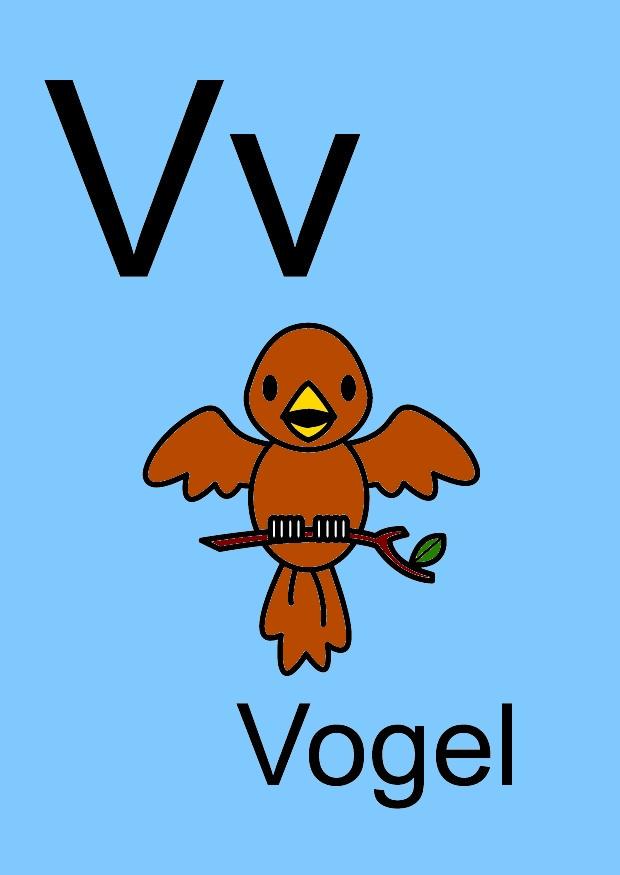 v Afbeelding v