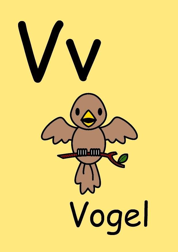 v Afbeelding v