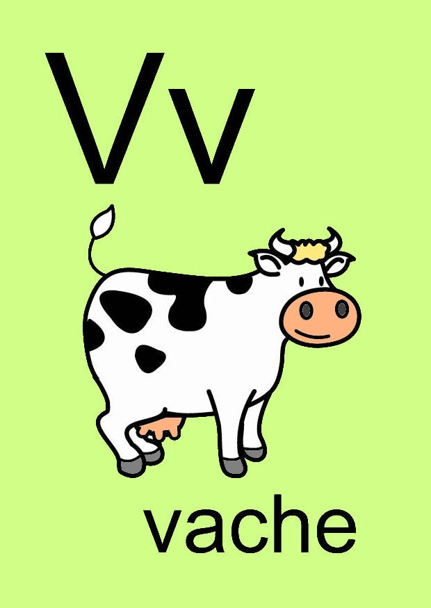 v Afbeelding v