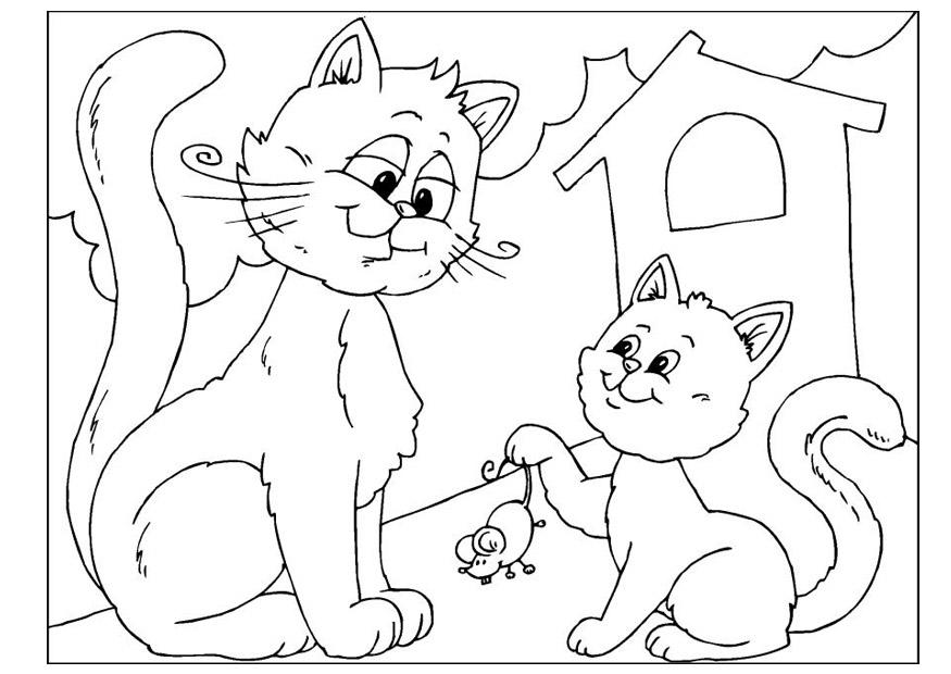 vaderdag - katten Kleurplaat vaderdag - katten