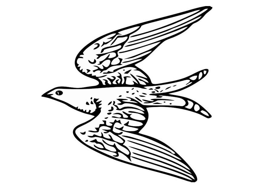 vliegende vogel Kleurplaat vliegende vogel