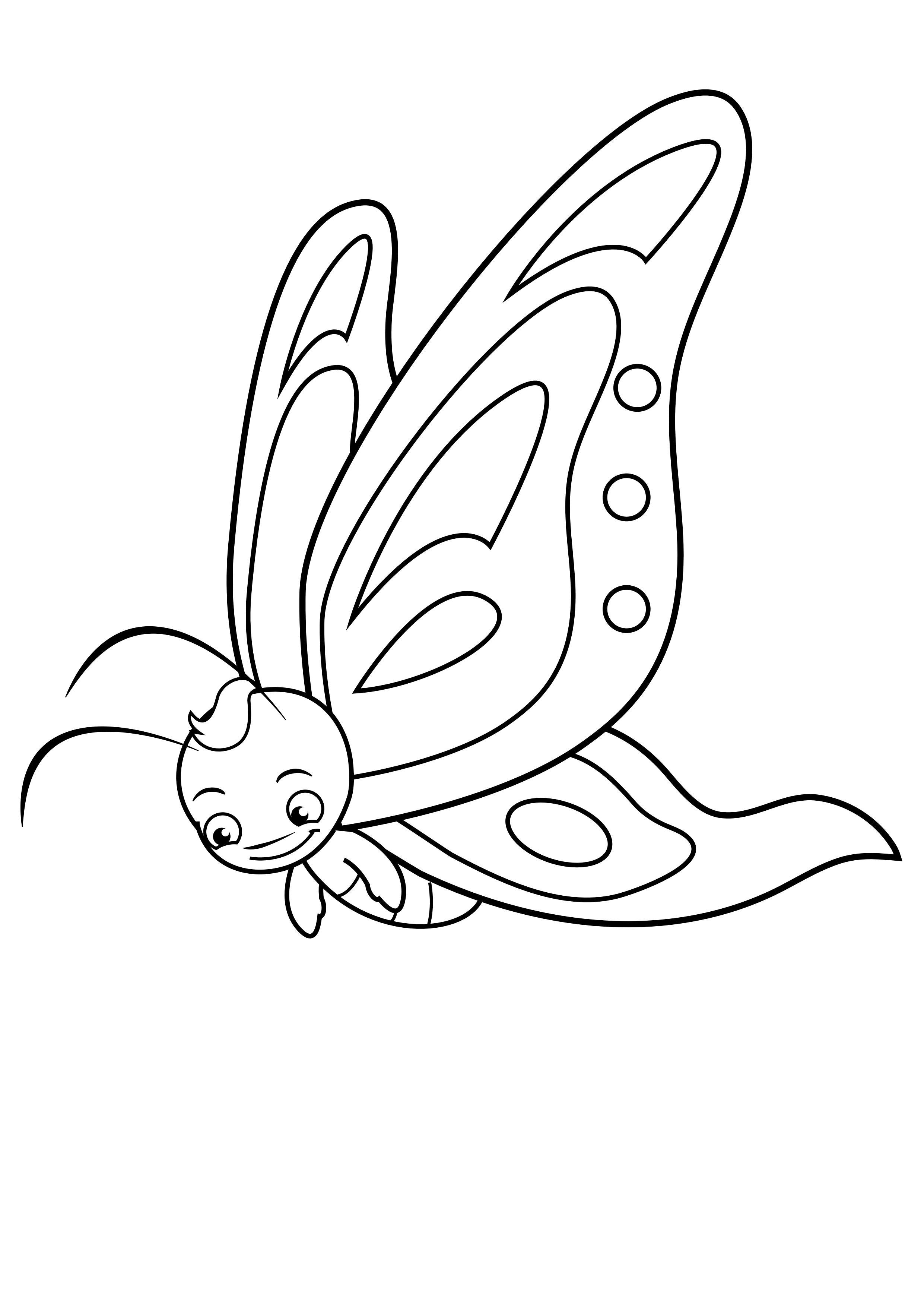 vlinder Kleurplaat vlinder
