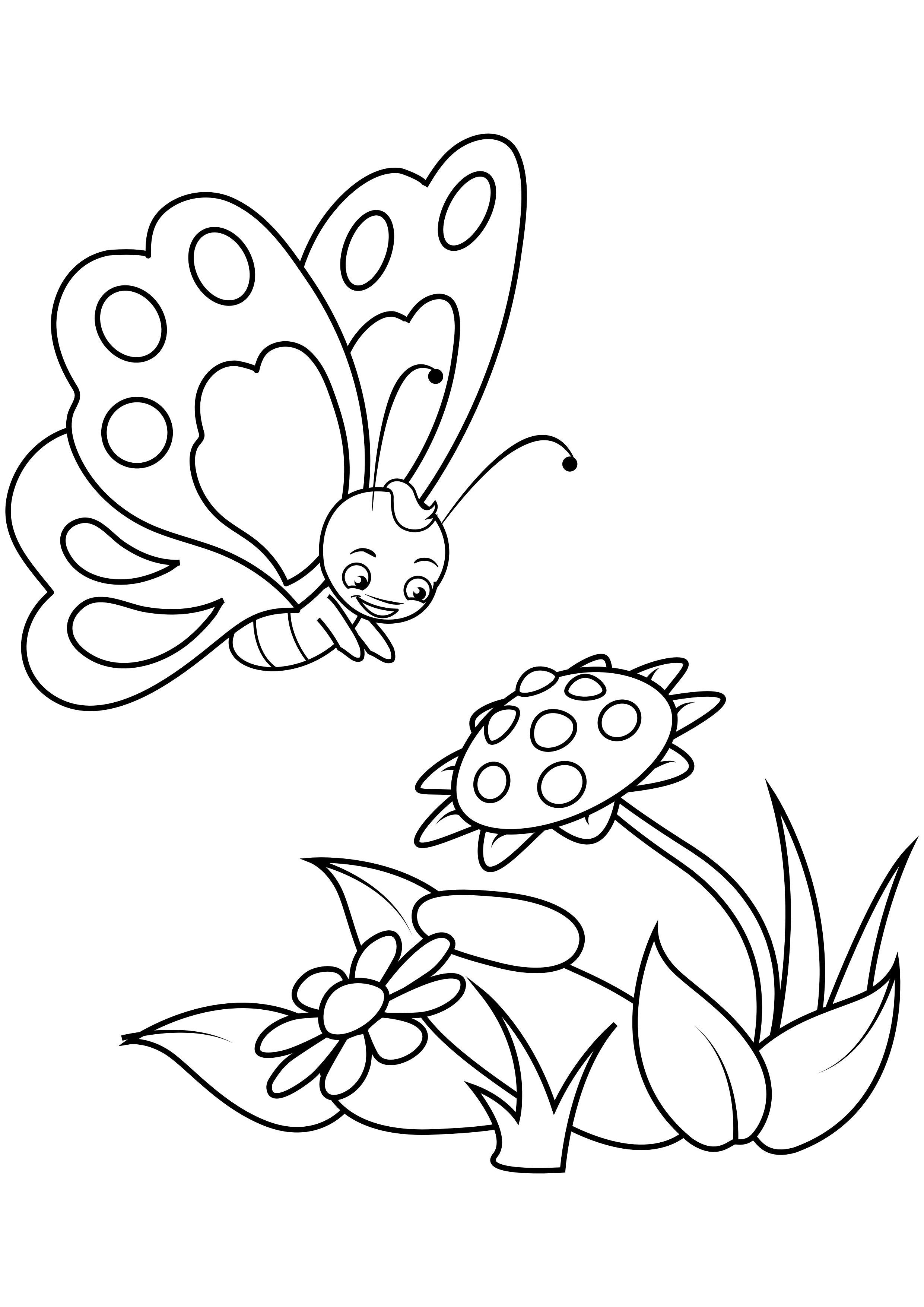 vlinder bij bloemen Kleurplaat vlinder bij bloemen