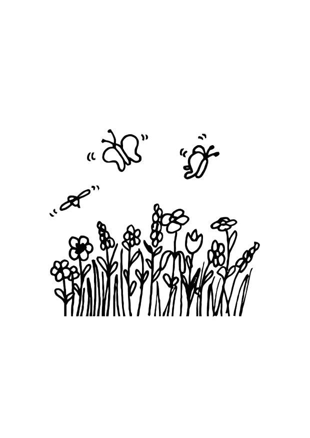 vlinders Kleurplaat vlinders