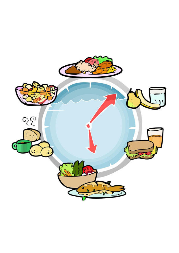voeding per dagdeel Afbeelding voeding per dagdeel