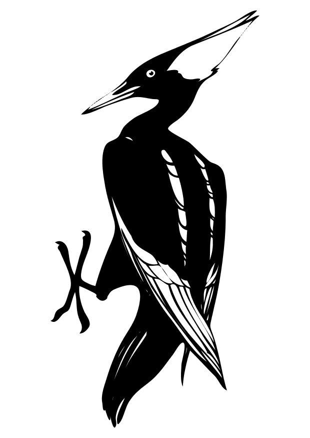 vogel Kleurplaat vogel
