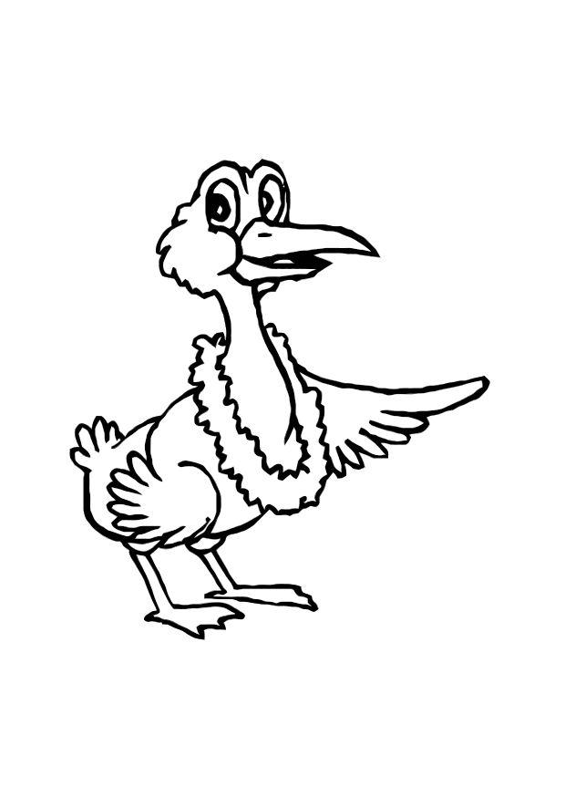 vogel Kleurplaat vogel