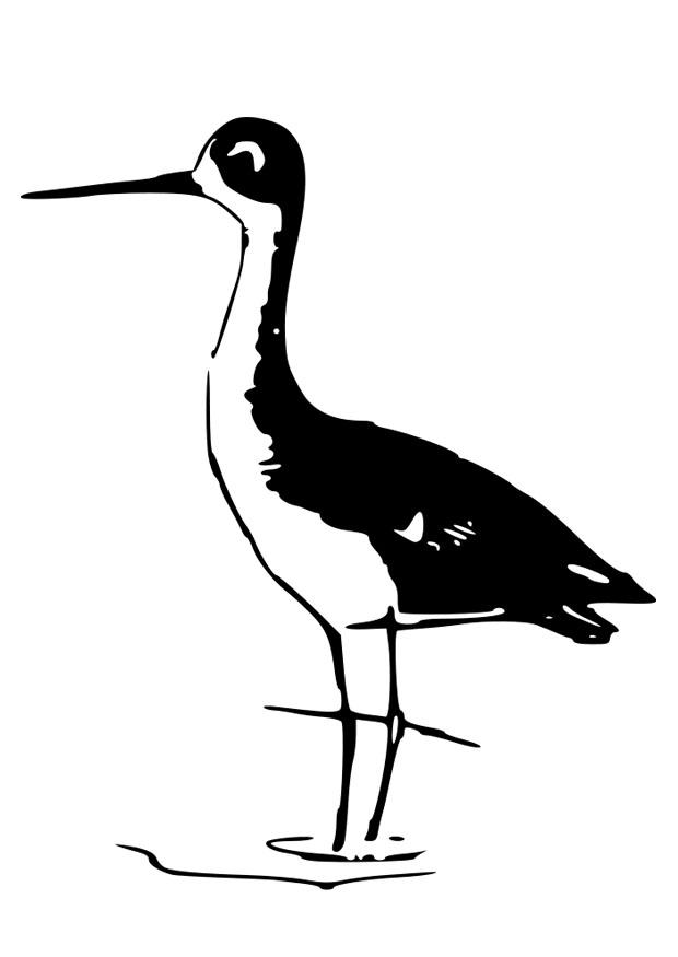 vogel Kleurplaat vogel