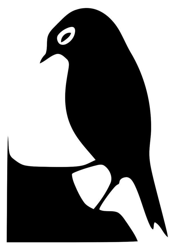 vogel Kleurplaat vogel
