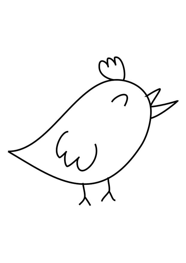 vogel Kleurplaat vogel