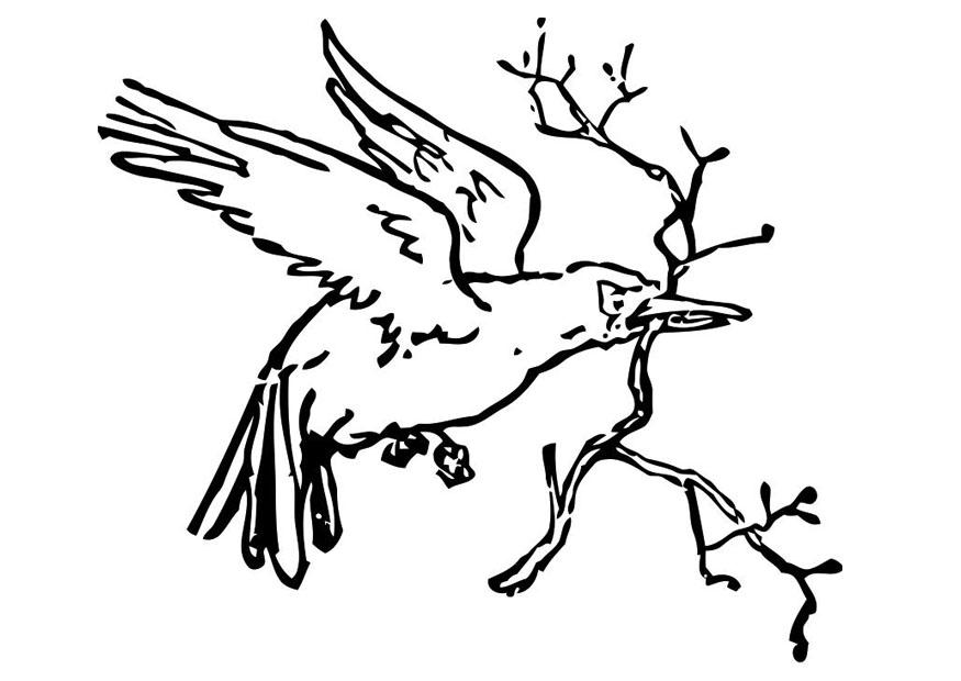 vogel met tak Kleurplaat vogel met tak