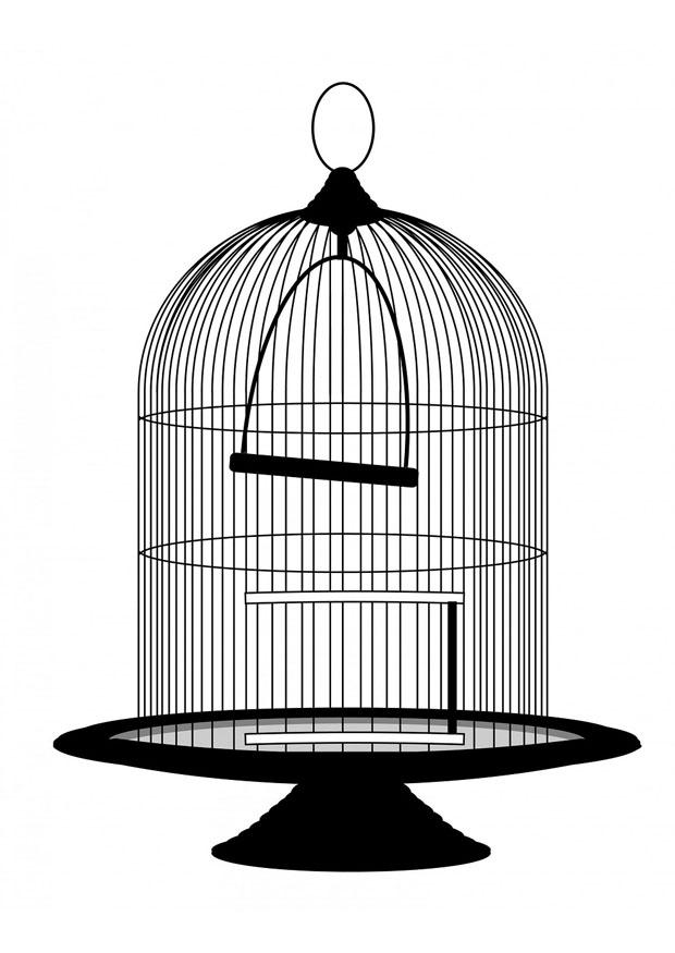 vogelkooi Kleurplaat vogelkooi