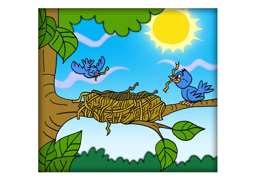 vogelnest Afbeelding vogelnest