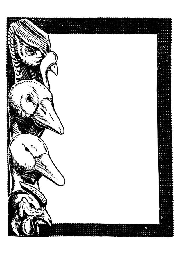 vogels Kleurplaat vogels